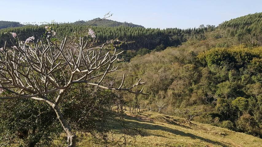 Sitio Alvorada - Paraiso Localizado No Circuito Das Aguas Paulista Amparo  Exterior foto